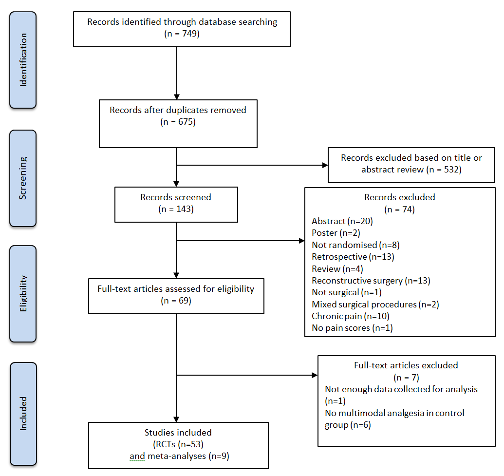 PRISMA Flow Diagram ESRA